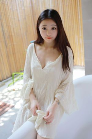 夜夜草导航
