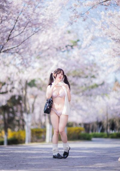 天官赐福动漫在哪看