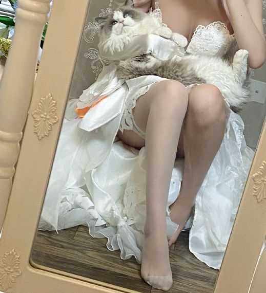 霸道总裁三百六十五天