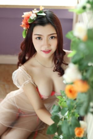 走向共和一共多少集