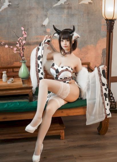 月刊家 电视剧免费观看