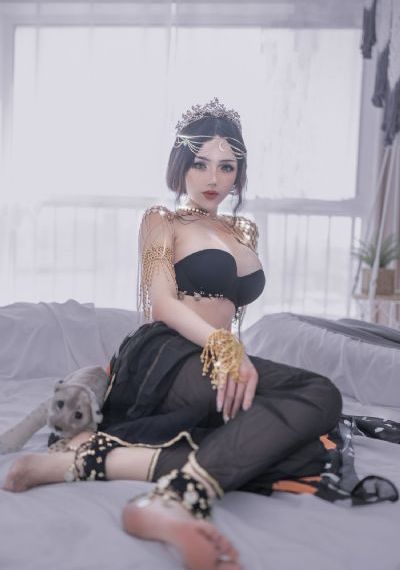 白白色发布会在线观看免费