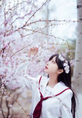布鲁伊第三季
